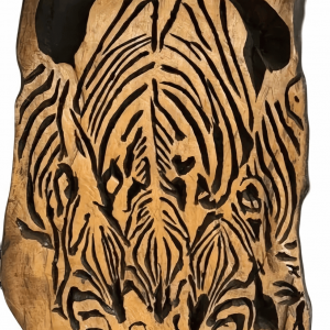 Albert Zebras